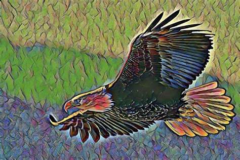 Eagle Symbolism Amp Eagle Meaning Universe Of Symbolism Eagle