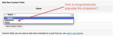 Add Scripted Custom Field 的图像结果