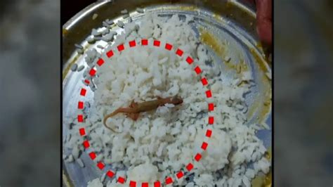 Lizard in mid-day meal of students in Odisha school raises grave concern!