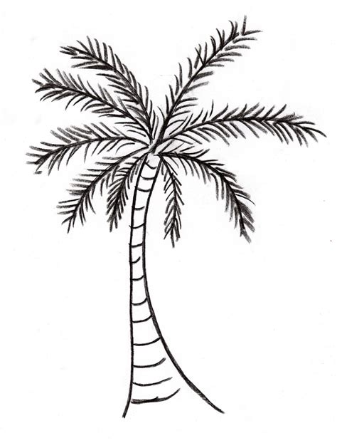 Image result for Simple Palm Tree Drawing