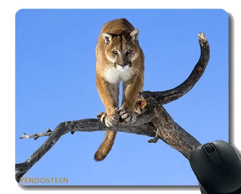 LAMS Mouse Pad,Puma Branch Sky Predators Big Cat 57927 Gaming Mouse Mat ...