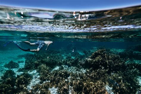 Image result for Microplastic Machine Learning Prediction Model