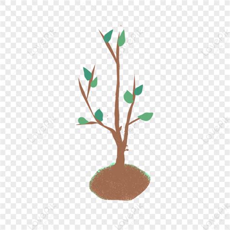 Image result for Sapling Transparent