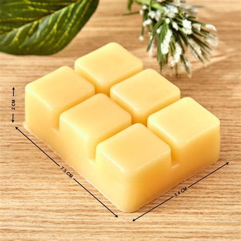 Buy Colour Refresh Set of 6 Lemongrass Scented Wax Melts from Home ...