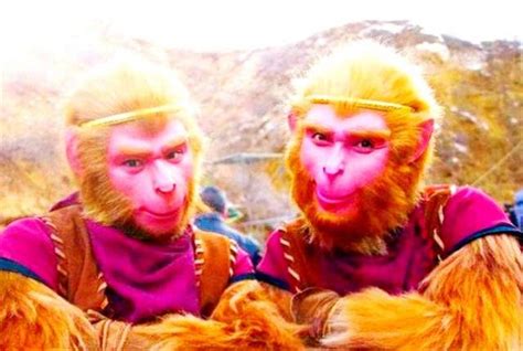 四大灵猴,四大灵猴图片,灵猴_大山谷图库