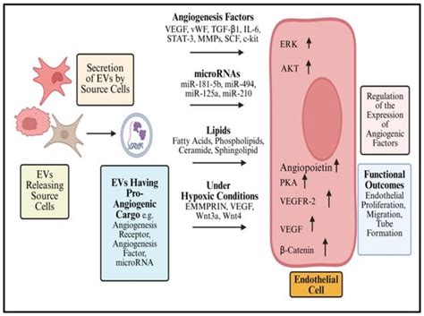 Cancers | An Open Access Journal from MDPI