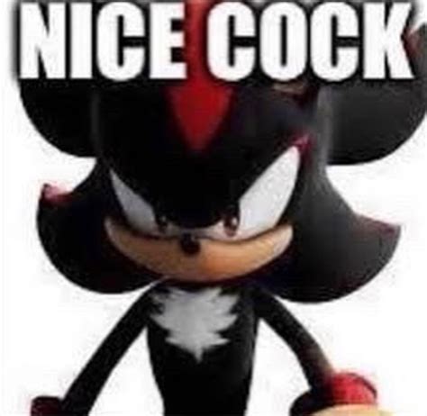 Shadow the Hedgehog Memes Funny
