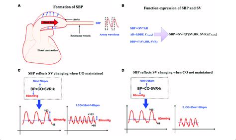 Image result for SBP Stage Program