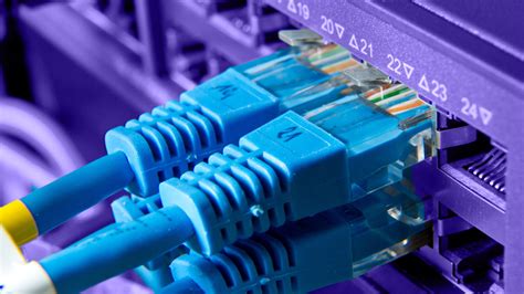 Network Data Internet 的图像结果