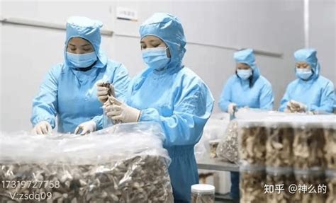 甘肃徽县食用菌产业产值将达到1亿元_县域经济网