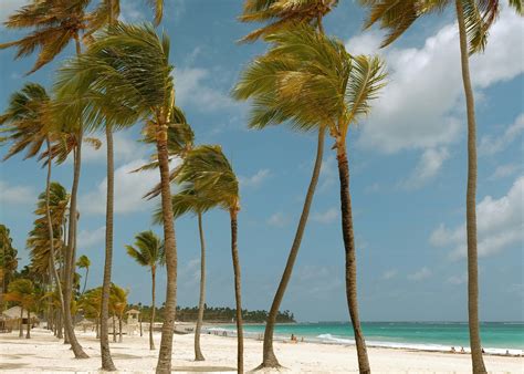 Punta Cana ranks among top North American travel destinations for 2025 ...