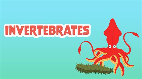 Invertebrates Facts for Kids - 5 Interesting Facts about Invertebrates - LearningMole