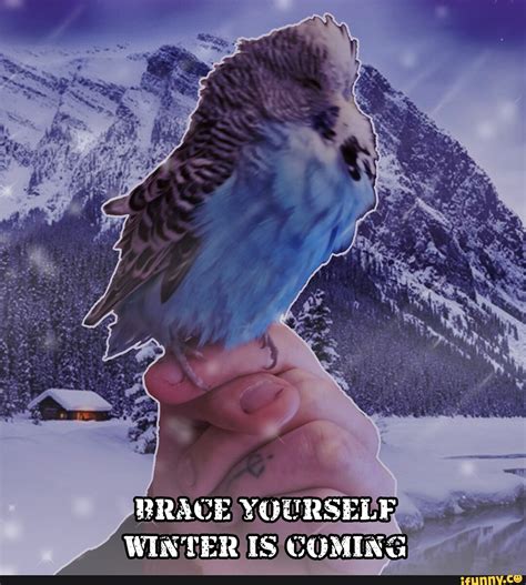 Brace Yourself Meme Snow