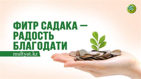 ФИТР САДАКА – РАДОСТЬ БЛАГОДАТИ - Официальный сайт Духовного управления ...