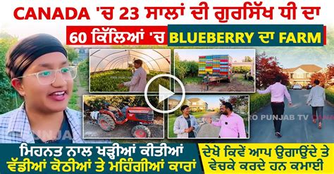 ਪੰਜਾਬ ਦੀ ਇਸ ਧੀ ਦਾ Canada 'ਚ ਹੈ 60 ਕਿੱਲਿਆਂ ਦਾ Blueberry Farm, ਪੜ੍ਹਾਈ ਦੇ ...
