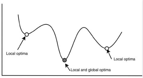 Local Optima 的图像结果