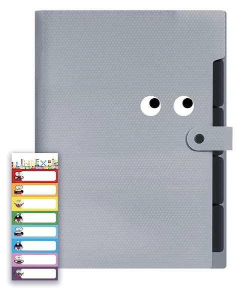 NISUN 5 Pocket Expanding File Folder with Fun Sticky Labels, Letter ...