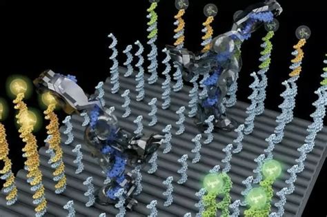 The Earth BioGenome Project Is Looking To Sequence DNA Of All Life On ...