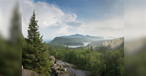 Oldest Forest of World: ନ୍ୟୁୟର୍କ ପାଖରେ ମିଳିଲା ବିଶ୍ୱର ସବୁଠାରୁ ପୁରୁଣା ...