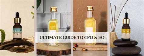 The Ultimate Guide to Carrier Oils and Essential Oils for Natural Well ...