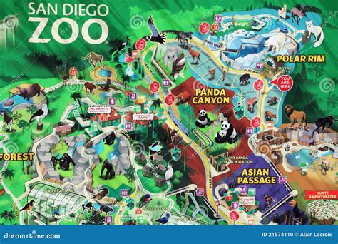 San Diego Zoo Printable Map
