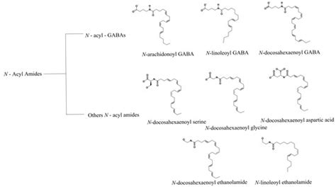TRPV1: Structure, Endogenous Agonists, and Mechanisms