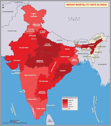Mortality rate, Morbidity Rate - Geography Notes