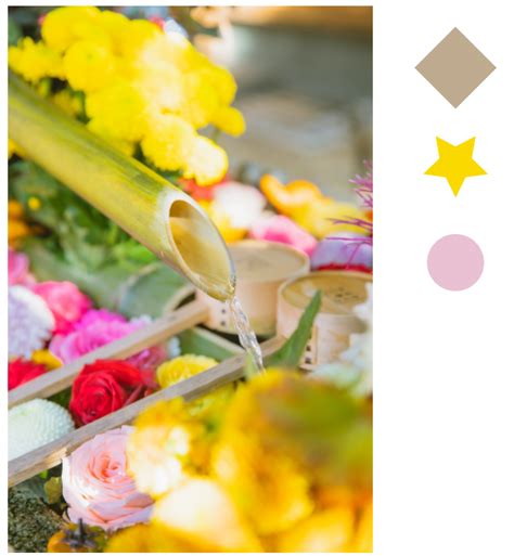 Image result for Color Fill InDesign