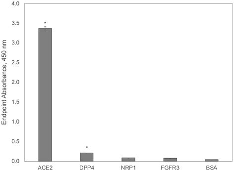 Phage-Displayed Mimotopes of SARS-CoV-2 Spike Protein Targeted to ...