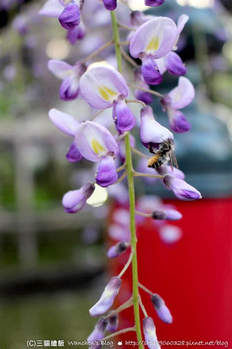 Image result for Python Computer Vision