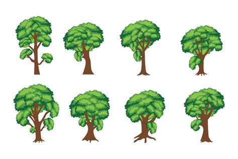 Image result for Shape Tween Animation Tree Drawing