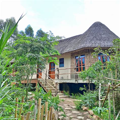 CHIMPANZEE CAPITAL SAFARI LODGE (Kibale National Park) - Hostel Reviews ...