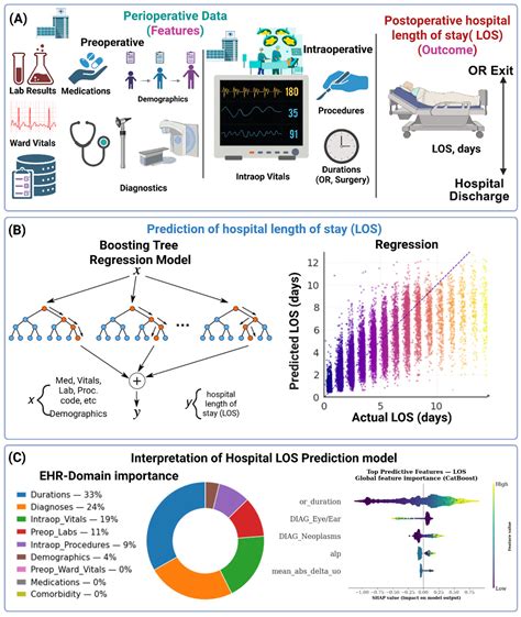 Domain-Aware Interpretable Machine Learning Model for Predicting ...