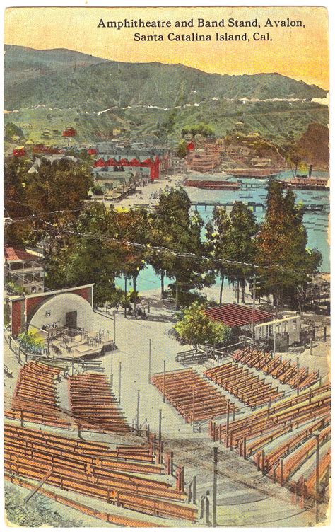 Understanding the Dimensions of a 10 Gallon Aquarium - Tcrascolorado