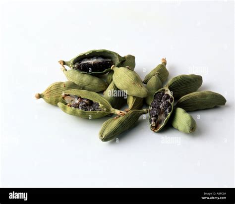 Green Cardamon pods Stock Photo - Alamy