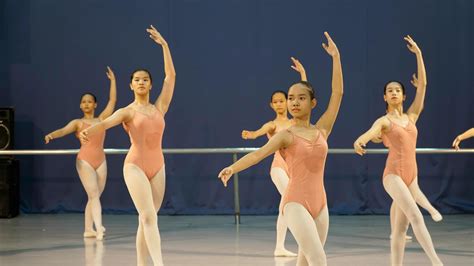 Image result for Insight Training