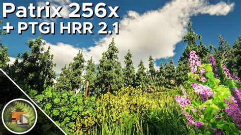 Image result for Patrix Tutorial