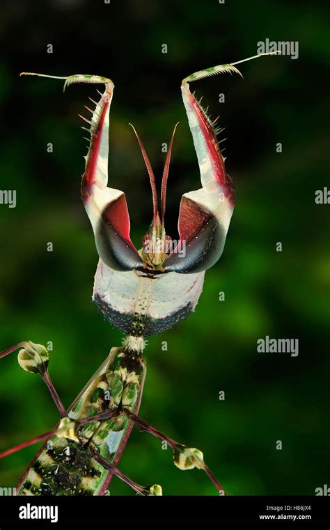 Image result for Prompt JavaScript