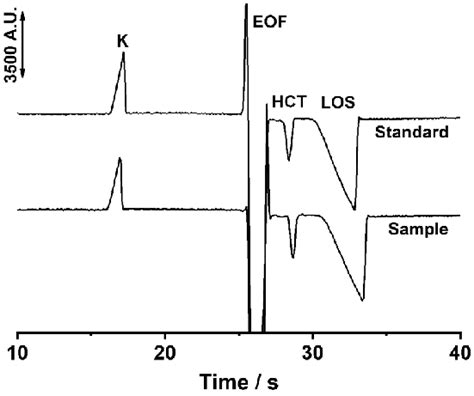 Image result for Electropherogram vs Chromatogram