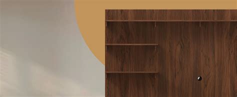 Amazon Brand - Solimo Altamore Engineered Wood TV Unit and Display ...