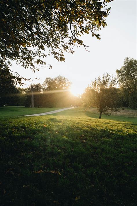 Youtube Views Photos, Download The BEST Free Youtube Views Stock Photos ...