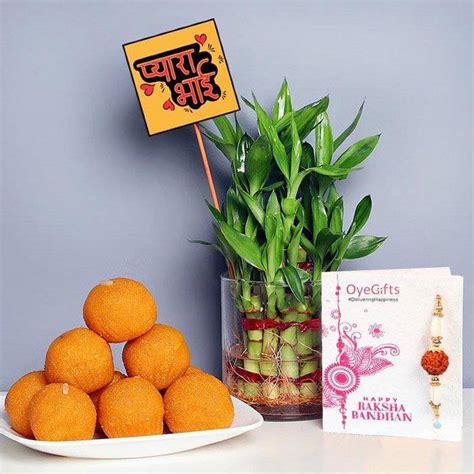 Motichoor Ladoo N Bamboo Plant Rakho Combo – YuvaFlowers