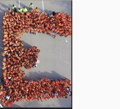 Image result for Language Sampling