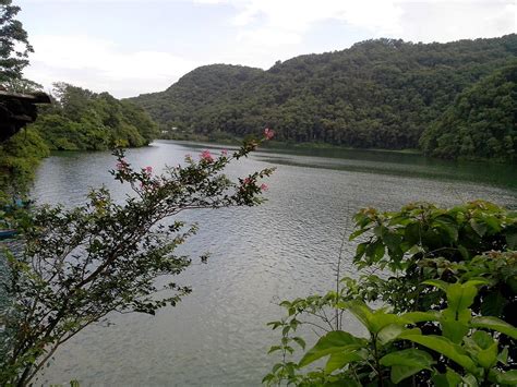 HOTEL LOTUS INN (Pokhara) - Hotel Reviews, Photos, Rate Comparison ...