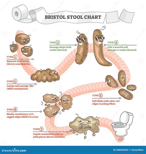 Bristol Stool Chart with Excrement Description and Types Outline ...