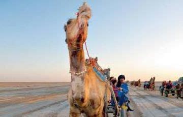 Rann of kutch 2N/3D | bhuj, kutch Trip Package for 2 Nights/3 Days ...