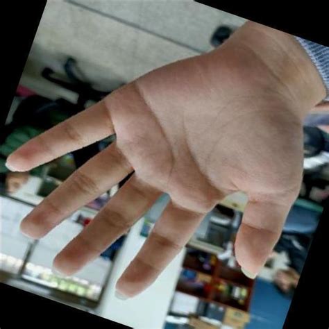 Image result for Hand Detection Python