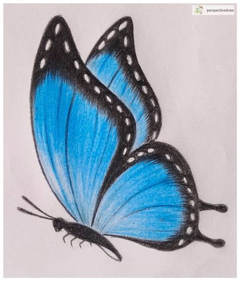 Pin by Betsabé Fuentes on zeichnen ideen bleistift | Cute drawings, Butterfly drawing, Butterfly ...