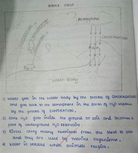 Write a paragraph that describes the path that one drop of water takes ...