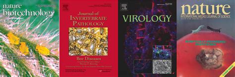 Nature Journal Cover 的图像结果